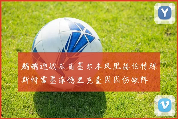 鹈鹕迎战东南墨尔本凤凰赫伯特琼斯特雷墨菲德里克奎因因伤缺阵