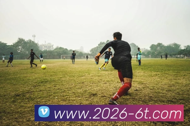 6T体育APP 封面图