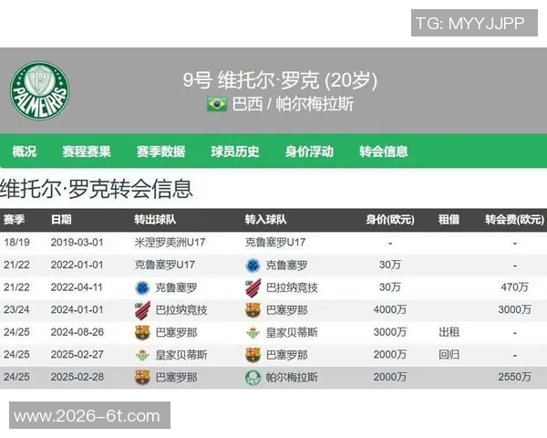 巴甲球员身价排行榜揭晓罗克以3500万欧元领跑拉扬紧随其后