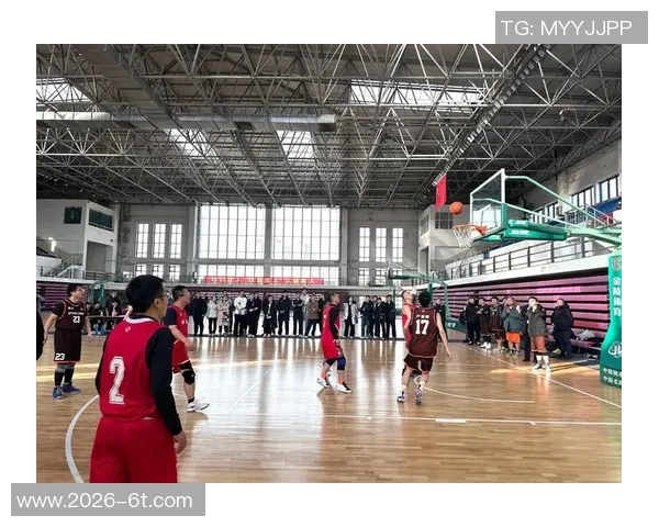 篮球教会我们的合作精神与高效问题解决能力的深刻启示